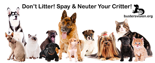 Spay and Neuter